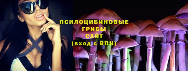 apvp Армянск