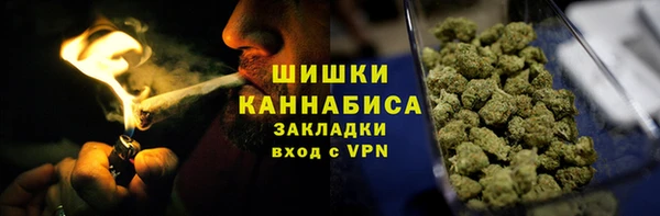 сатива Балахна