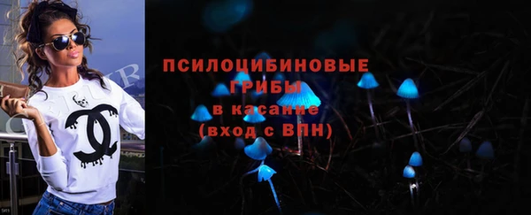 apvp Армянск