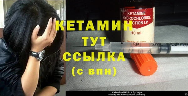 сатива Балахна