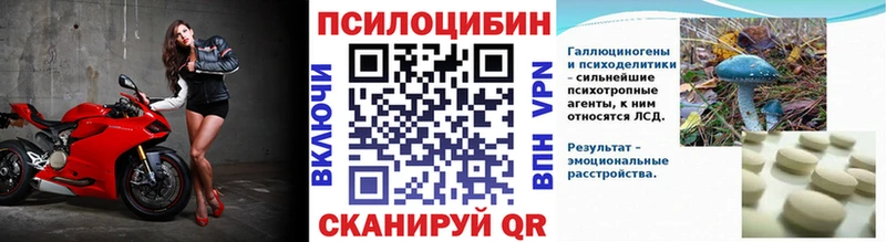 МЕГА зеркало  где купить наркотик  Лыткарино  Галлюциногенные грибы MAGIC MUSHROOMS 